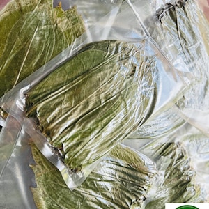 Dried Soursop Leaves: Herbal Annona Muricata Tea, Guayabano Herbs