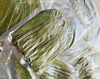 May include: Several green leaves are packaged in clear plastic bags. The bags are sealed and labeled with the text "NICE HERBAL SHOP HAND MADE HERBS SINCE 2020 Kegalle, Sri Lanka."