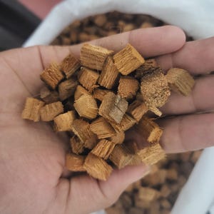 50pcs Natural Coconut Husk Pieces for Chinchillas & Parrots