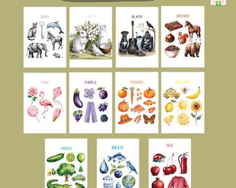 Colour Flashcards Printable, Kids Learn Colour Cards, Language Development, Color Recognition & Sorting Kindergarten, Preschool Activity