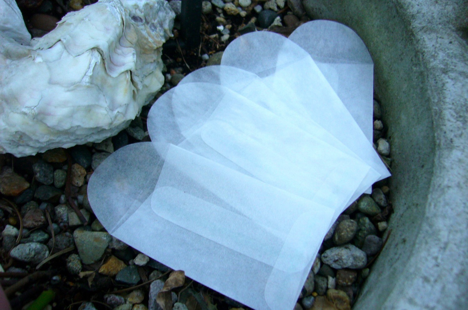 100 Glassine Seed Envelopes 1 3/4 inches x 2 3/4 inches top Etsy