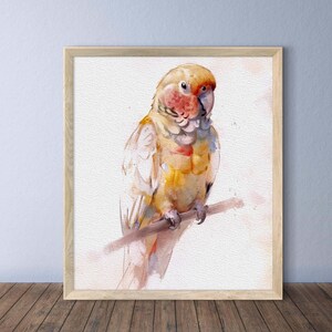 Custom PARROT portrait Watercolor parrot painting Parrot lover gift Pet loss gift Christmas gift Cockatoo portrait custom Pet portrait