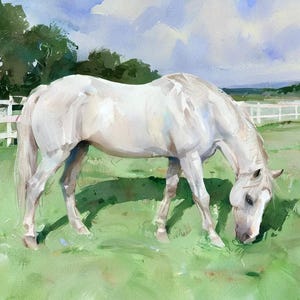 Arte del dressage, acquerello dipinto a mano, ritratto di cavallo, regalo del Texas, amanti dell'equitazione, regalo commemorativo del cavallo, regalo equino, accessori per stalle