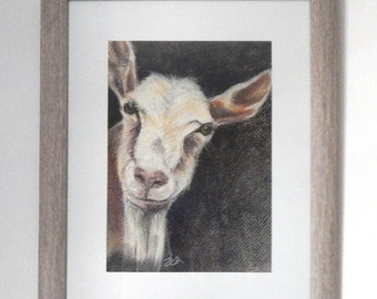 Goat Pastel Farm Animal Portrait