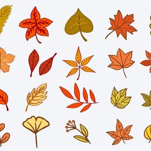 Fall Leaves Svg, Fall svg, Fall leaf svg bundle, Fall png, dxf, clipart, Cut files for Cricut, Glowforge files, Silhouette, Halloween svg