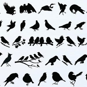 Bird SVG, Bird Svg Bundle, Flying Bird Svg, Animal Svg, Bird Clip Art, Sparrow Svg, Files for Cricut, Bird Silhouette, Birds Svg