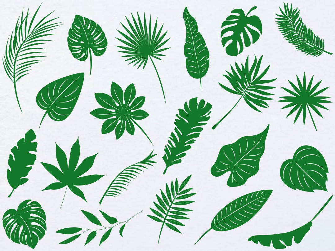 Tropical Leaves Svg Bundle, Monstera Leaf Svg Clipart, Jungle Leaves ...