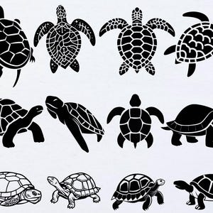 Sea Turtle svg Bundle, Tortoise svg, Sea Turtle Clipart, Turtle Cricut File, Sea Turtle Cut File, Floral Turtle svg, Instant Download