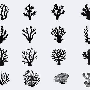 Coral SVG Bundle, Coral SVG Bundle, Coral Clipart, Coral SVG Cut Files for Cricut, Coral Silhouette, Seaweed svg, Seaweed png, Sea Plant svg