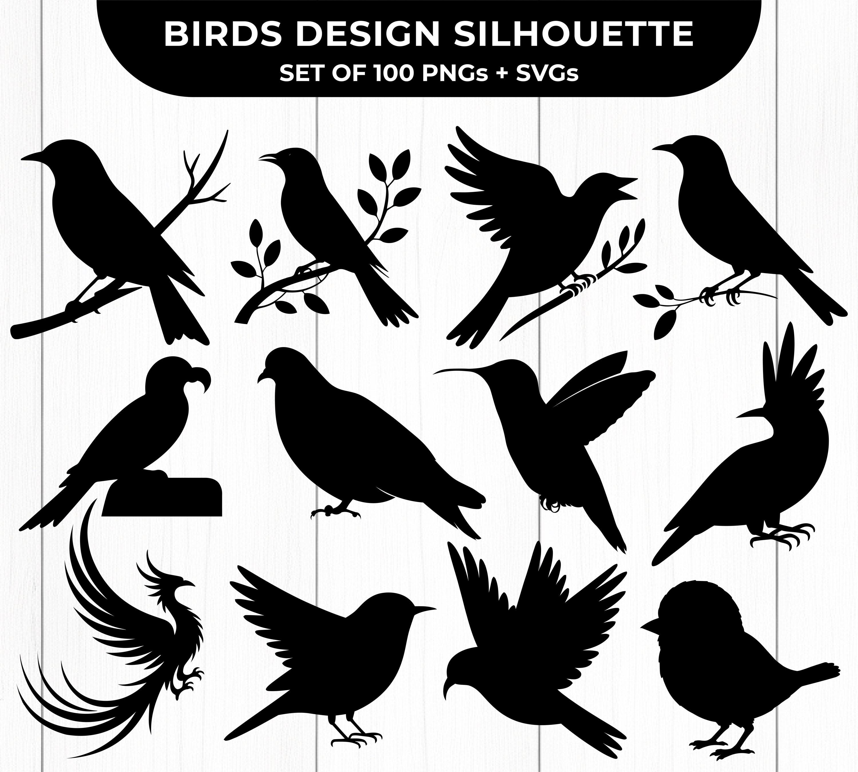 🦅✨ 𝐓𝐫𝐢𝐯𝐢𝐚 𝐨𝐧𝐭𝐡𝐮𝐥𝐥𝐢𝐧𝐠❗, Bedankt voor al jullie antwoorden,  vogelvrienden! De mysterieuze raptor van gisteren is de  𝐃𝐨𝐮𝐛𝐥𝐞-𝐭𝐨𝐨𝐭𝐡𝐞𝐝 𝐊𝐢𝐭𝐞 𝐨𝐟 𝐓𝐚𝐧𝐝𝐰𝐨𝐮𝐰— en nu zie je  duidelijk waarom hij zo heet!, Op de ..., image size:3000x2700