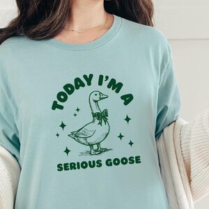 Camiseta Serious Goose, Camiseta Funny Goose, Camiseta Silly Goose, Presentes para Amantes de Ganso, Camiseta Sarcástica Camiseta Silly Camiseta Divertida Animal Presente Peculiar