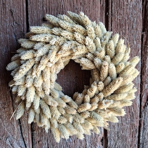 Dried flower crown Phalaris
