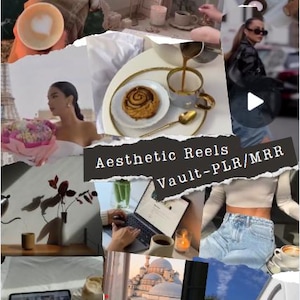 6000+ Aesthetic Reels Vault for Digital Marketing (with PLR/MRR)