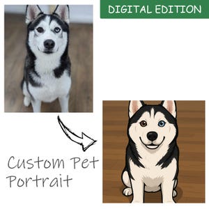 Custom Cartoon Pet Portrait - Cartoon Portrait from Photo, Cartoon Dog Portrait, Cartoon Cat Portrait - Handcrafted