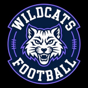 Wildcats Football T-Shirt, Sports Fan Tee, Team Spirit Apparel, Mascot Design, College Game Day Shirt, Gift for Athlete, Wildcats Tee