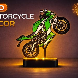 Personalisiertes LED Wheelie Motorrad im japanischen Stil Ninja ZX4RR Serie Decor Benutzerdefinierter Text Namensschild für Fahrer, nur Basislicht, handgemachte Kunst
