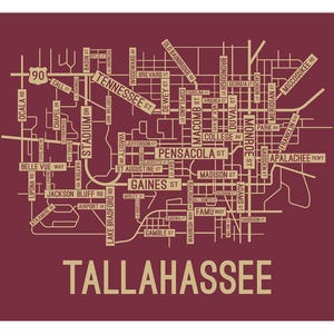 Tallahassee, Florida Street Map - Poster, Acrylic, Framed, and Metal Prints