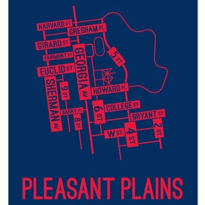 Pleasant Plains, Washington D.C. Street Map - Poster, Acrylic, Framed, and Metal Prints
