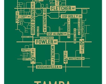 Tampa, South Florida Street Map - Poster, Acrylic, Framed, and Metal Prints