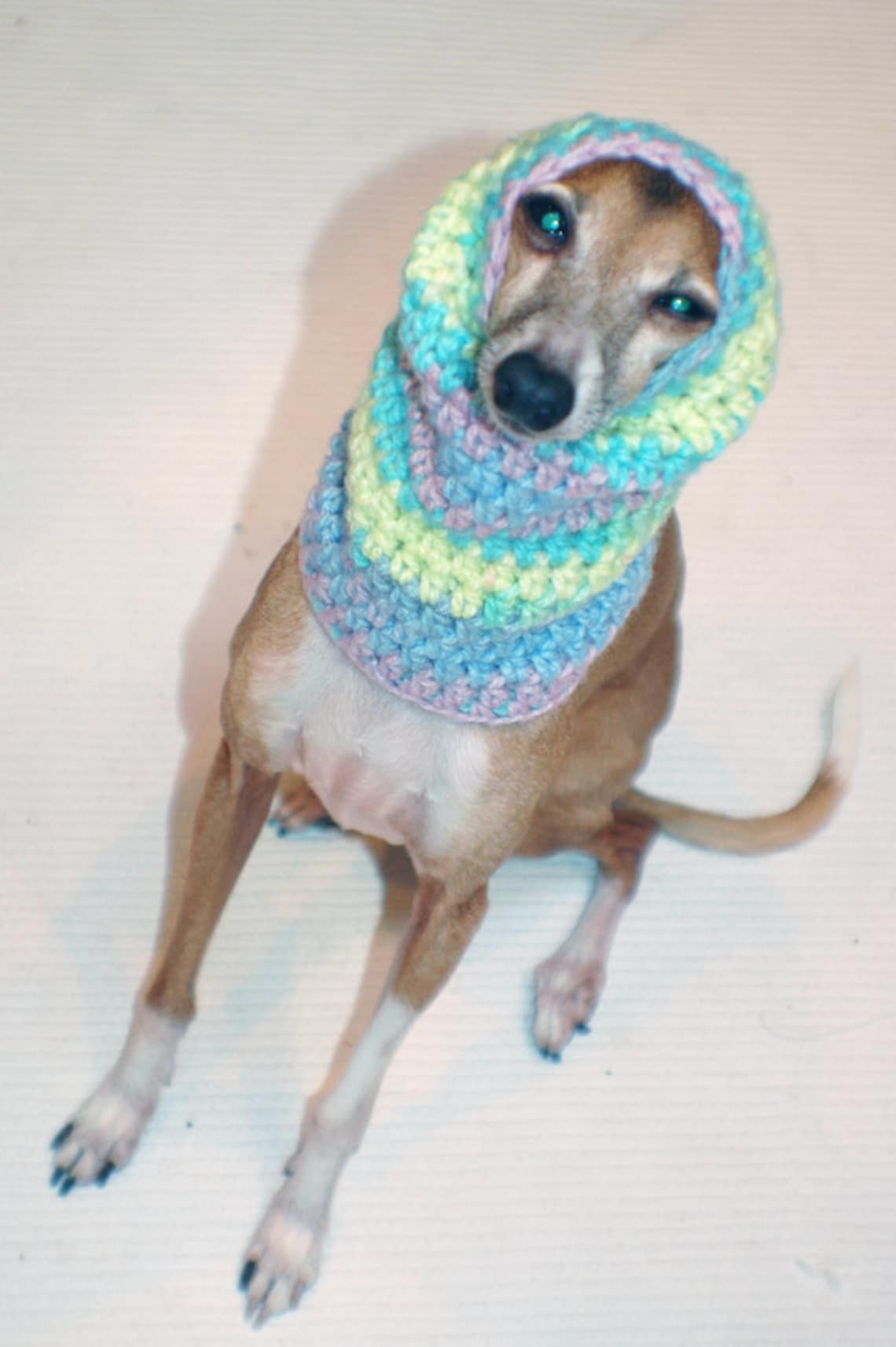 Italian Greyhound Small Dog Snood or Neck Warmer in Pastel Etsy