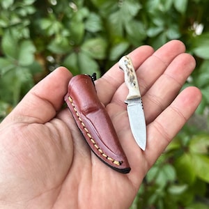 Könnte beinhalten: Ein kleines, handgefertigtes Messer mit einer silbernen Klinge und einem Knochengriff, neben einer braunen Lederscheide. Die Scheide ist mit gelbem Faden genäht und hat eine schwarze Kordel. Messer und Scheide werden vor einem Hintergrund aus grünem Laub gezeigt.