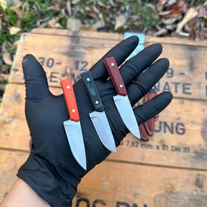Peut inclure: Trois petits couteaux avec des manches de couleurs différentes : orange, noir et rouge. Les lames sont argentées. Les couteaux sont tenus dans une main gantée de noir. Le fond comprend une boîte en bois et du feuillage.
