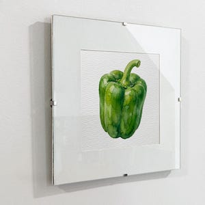 May include: A framed watercolor painting of a green bell pepper. The pepper is centered on a white background, encased in a clear acrylic frame. The artwork is mounted on a white wall.