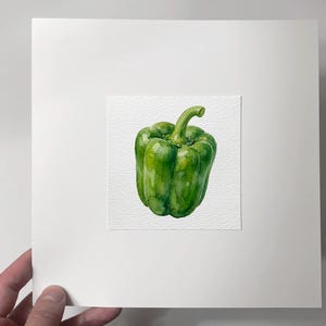 May include: Watercolor painting of a vibrant green bell pepper. The artwork is centered on a white background, showcasing the pepper's detailed texture and natural colors. The painting is mounted on a white mat.