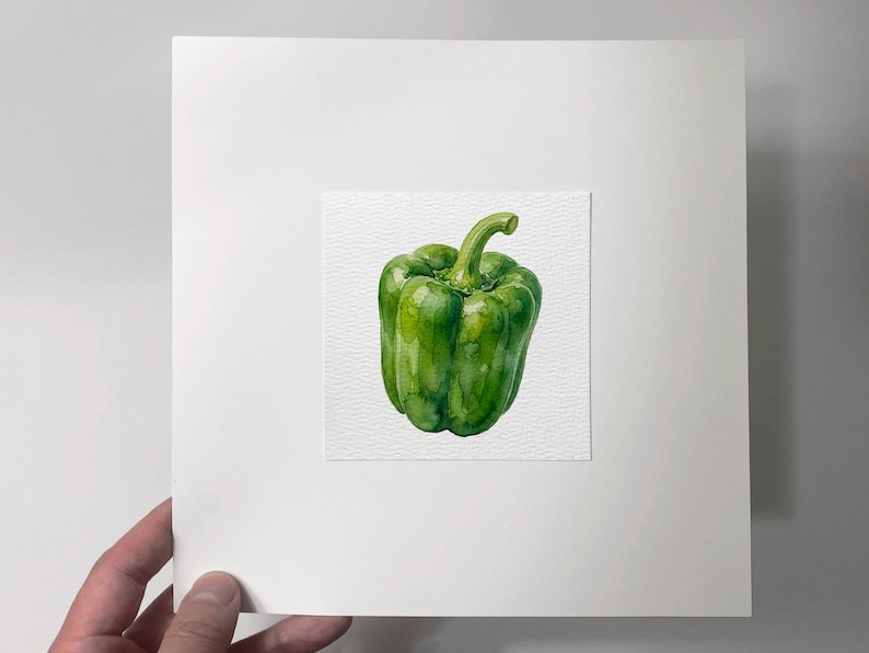 May include: Watercolor painting of a vibrant green bell pepper. The artwork is centered on a white background, showcasing the pepper's detailed texture and natural colors. The painting is mounted on a white mat.