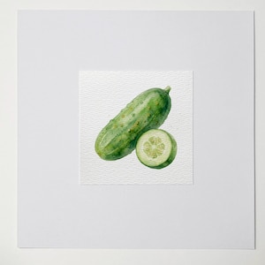 May include: Watercolor painting of a green cucumber and a cucumber slice on a white background. The cucumber is whole, with a textured surface and small bumps. The slice reveals the cucumber's interior. The artwork is mounted on a white mat.