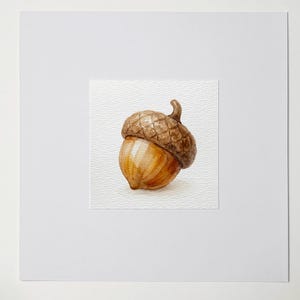 May include: Watercolor painting of a single acorn. The acorn has a brown cap and a light brown body. The artwork is on a textured white paper, set against a white background.