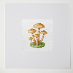 May include: Watercolor painting of a cluster of mushrooms. The mushrooms have tan caps and stems, with white gills. They are growing on a patch of green moss. The artwork is on a textured white paper, set against a white background.