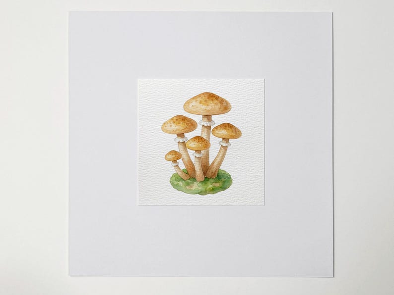May include: Watercolor painting of a cluster of mushrooms. The mushrooms have tan caps and stems, with white gills. They are growing on a patch of green moss. The artwork is on a textured white paper, set against a white background.