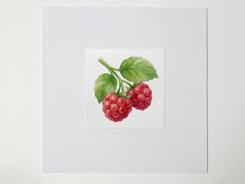 May include: Watercolor painting of two ripe raspberries on a branch with green leaves. The berries are a vibrant red color, and the leaves have green and yellow hues. The artwork is set against a white background.
