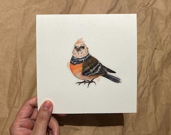 Miniature Watercolor Bird Print from Original Artwork | Square Giclée Fine Art