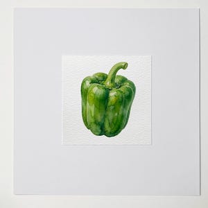 May include: A watercolor painting of a green bell pepper. The pepper is centered on a white textured paper, set against a white background. The pepper has a curved stem and is a vibrant green color.