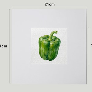 May include: A watercolor painting of a green bell pepper. The pepper is centered on a white square, which is set against a larger white background. The artwork measures 8.3 inches by 8.3 inches.