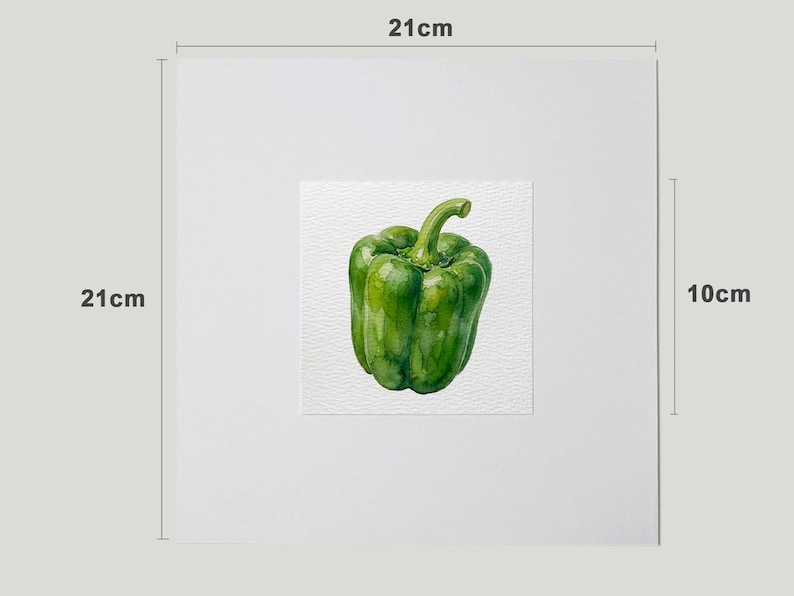May include: A watercolor painting of a green bell pepper. The pepper is centered on a white square, which is set against a larger white background. The artwork measures 8.3 inches by 8.3 inches.