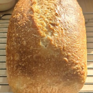 May include: A rectangular loaf of sourdough bread with a golden-brown, blistered crust and a single deep score running down the center. The bread is resting on a metal wire cooling rack, showcasing a textured, baked exterior surface.