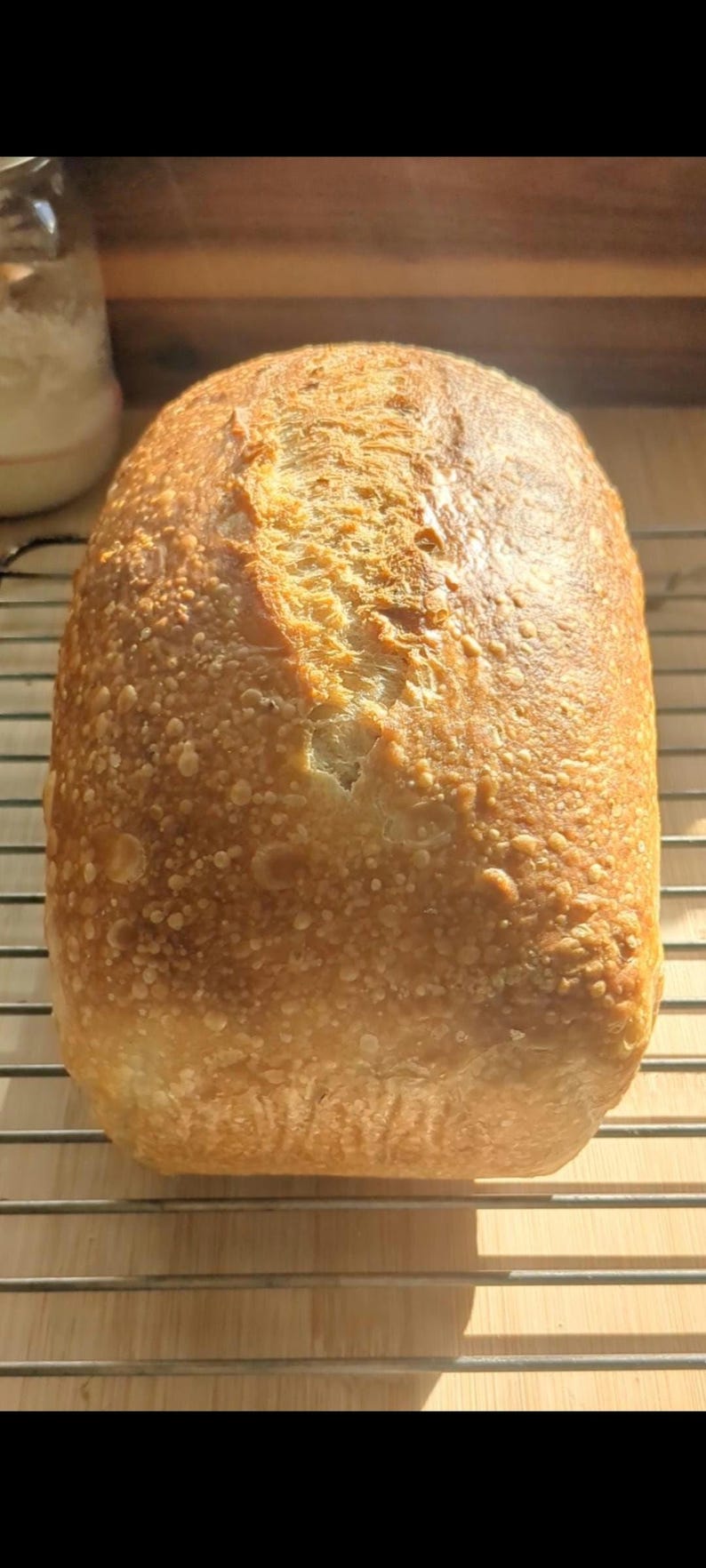 May include: A rectangular loaf of sourdough bread with a golden-brown, blistered crust and a single deep score running down the center. The bread is resting on a metal wire cooling rack, showcasing a textured, baked exterior surface.