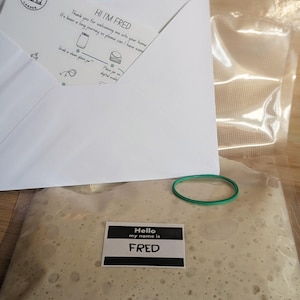 May include: A sourdough starter in a clear plastic bag with a name tag that reads Hello my name is FRED, accompanied by a white envelope containing instructions from Wholesome Larder and a small green rubber band for securing the bag opening.
