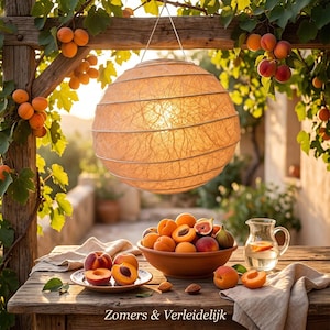 May include: A round, beige paper lantern with a textured, fibrous surface hangs above a wooden table. The table holds a ceramic bowl filled with fresh apricots and figs, a small plate with sliced apricots, and a glass pitcher of water. Text reads Zomers & Verleidelijk.