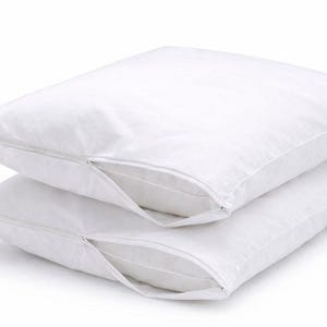 May include: Two white pillows stacked on top of each other. Each pillow has a zipper closure on one side. The pillows are made of a soft, smooth fabric.
