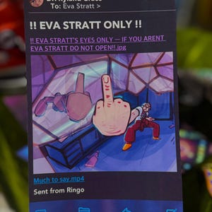 May include: A printed card with the text "!! EVA STRATT ONLY !!" and "EVA STRATT'S EYES ONLY - IF YOU ARENT EVA STRATT DO NOT OPEN!!.jpg". The card features an illustration of a hand giving the middle finger and a person in red pants. The card is sent from Ringo.