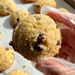 May include: A close-up of a light brown cookie with chocolate chips. The cookie is being held by a gloved hand. The cookie is on a white surface with other cookies in the background.