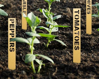 Steel Garden Plant Marker Bundle Packs: Small Metal Vegetable Labels, Minimalist Outdoor Landscape Decor
