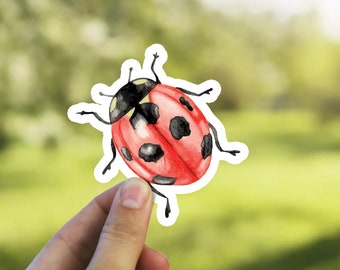 Ladybug Red with Love on Back Vinyl Car Window Sticker Cutout