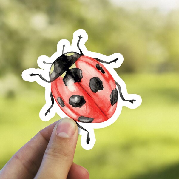 Ladybug Decal Etsy