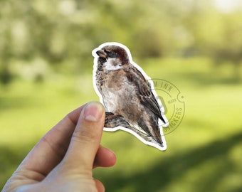 Sparrow Sticker, Bird Watcher Nature Sticker
