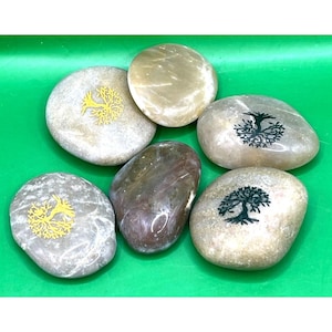 May include: A collection of six smooth, polished river stones of varying shades of gray, tan, and brown. Three of the stones feature a printed tree design, with two in yellow and one in black, while the others remain plain and unadorned.